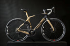 Abredeen Custom - Pinarello Grevil F Champ GRX 600 - 53