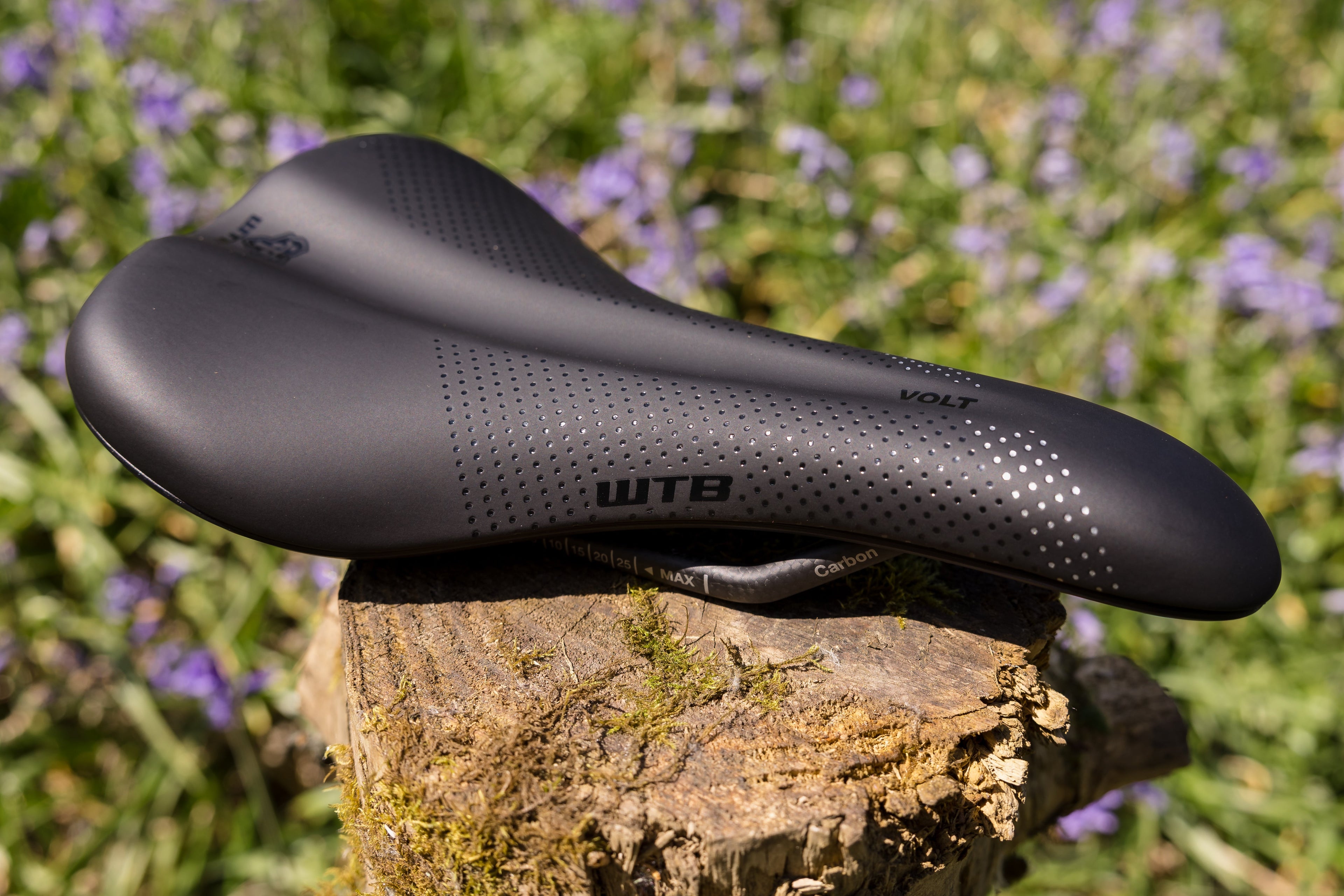 WTB Volt Saddle - Steel, Black, Narrow