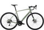 Domane AL 5 56 Lichen Green