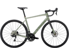 Domane AL 5 56 Lichen Green